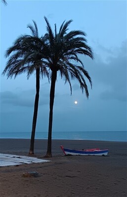 fotowedstrijd-18-385-x-600 fotowedstrijd-18-385-x-600