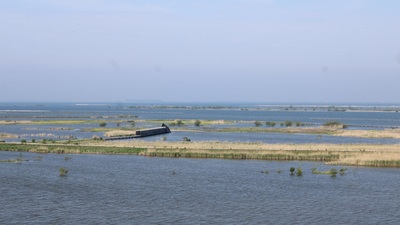 2025 Marker Wadden